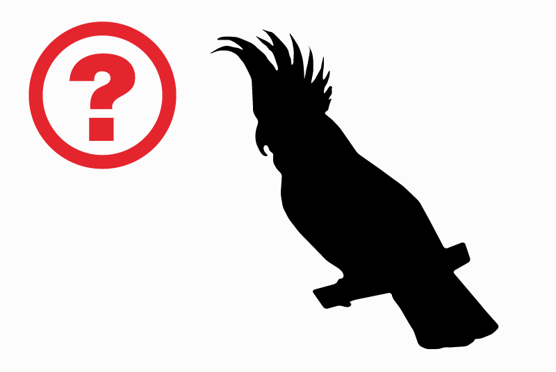 Discovery alert Bird Unknown Veauche France